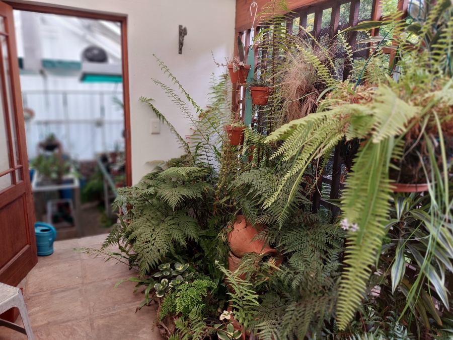 2 Bedroom Property for Sale in The Village Western Cape